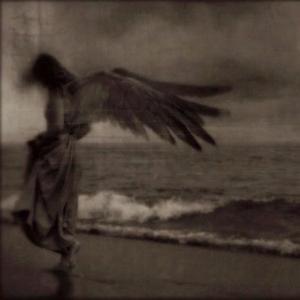 thoughts of you (feat. zel)