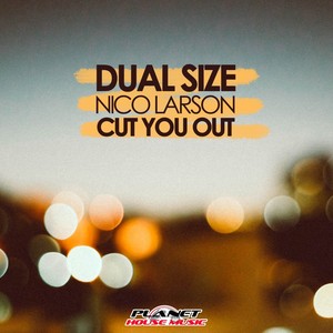 Cut You Out (Radio Edit)