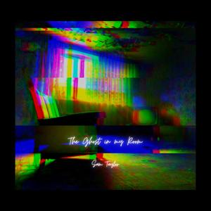 The Ghost in My Room