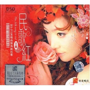 月光下的凤尾竹