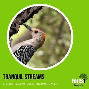 Tranquil Streams - Scenic Forest Nature Soundtracks, Vol.9