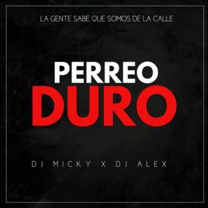 Perreo Duro (Duro Bailotear) (feat. Dj Alex Del Callao)