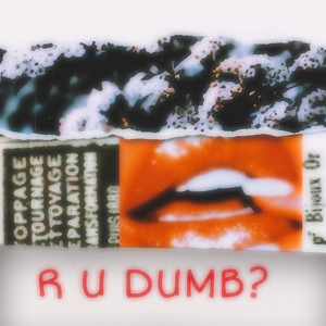 R U Dumb? (Explicit)