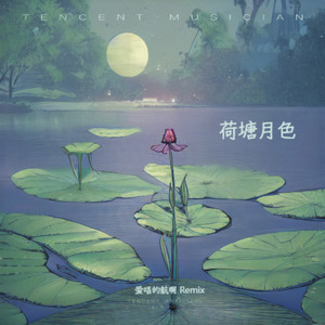 荷塘月色 (爱唱的航啊 remix)