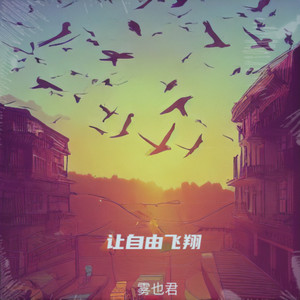 让自由飞翔