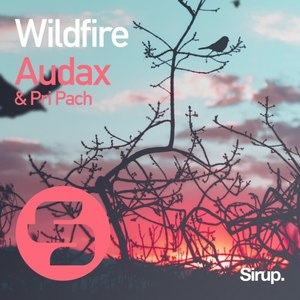 Wildfire (Original Club Mix)