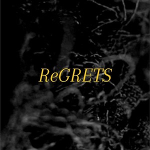 ReGRETS (Explicit)