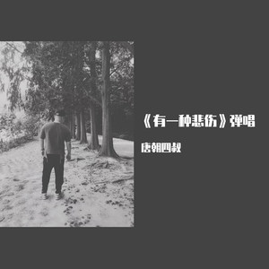 有一种悲伤 (弹唱版)