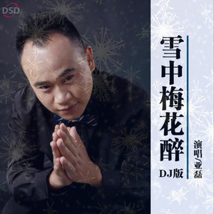 雪中梅花醉 (DJ版)