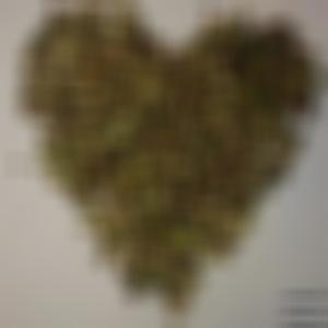 City on My Back (feat. zavierwilldoit) (Explicit)