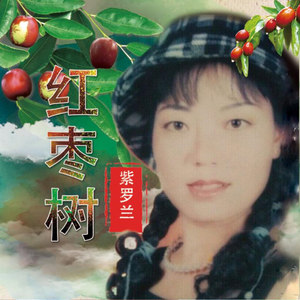 红枣树