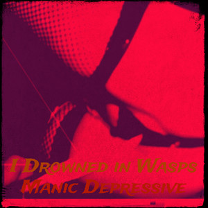 I Drowned in Wasps (Explicit)