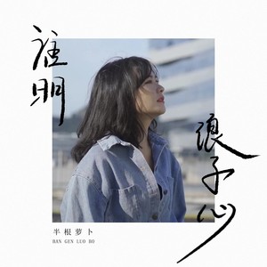 谁明浪子心 (DJ小蒋版)