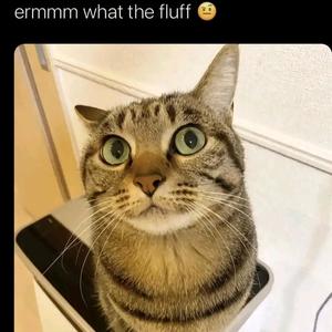 BAD FUNK DO BAN (Super Slowed Down) (Explicit)