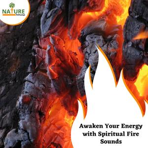 Adventurous Steady Campfire