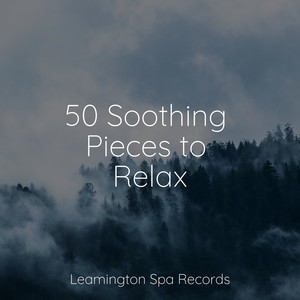 50 Soothing Pieces to Relax