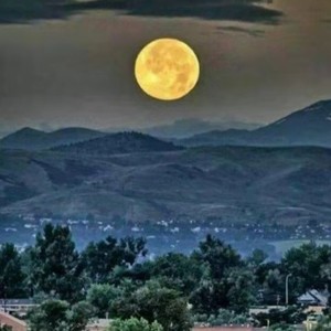 肖媛蔚 - 忏悔文 (伴奏)