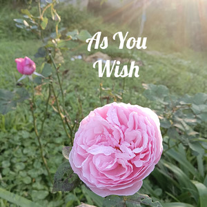 As You Wish