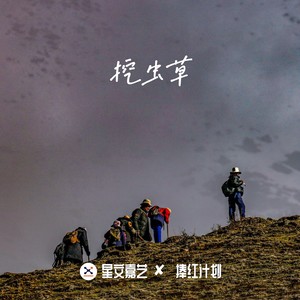 挖虫草