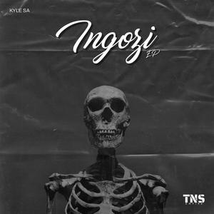 Gqom Groove (feat. Woza Taboo & Ceekay Dlal'lculo)