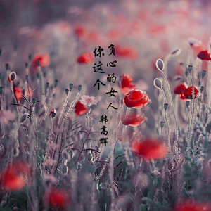 你这个负心的女人