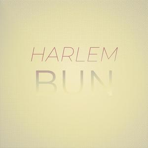 Harlem Bun