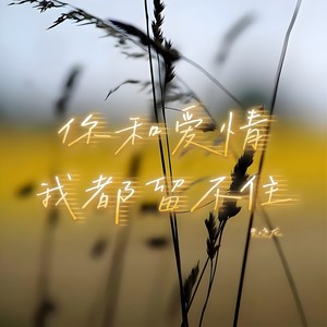 你和爱情我都留不住