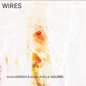 Wires