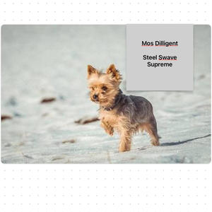 Guilty By Association (Gray Block) (feat. Mos Dilligent) (Explicit)