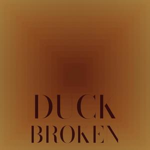 Duck Broken