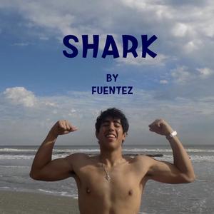 Shark (Explicit)