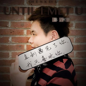 直到遇见了你，我只喜欢你 (降速版)封面
