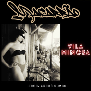 Vila Mimosa