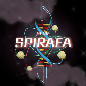 Tell me why (feat. SAWAMURA) (Remix)