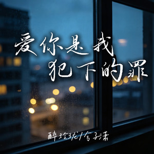 爱你是我犯下的罪