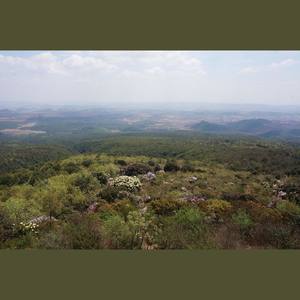 依然向远方 伴奏