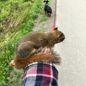 Rock la Chancla pt. 2