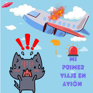 Mi primer viaje en avión