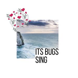 Its Bugs Sing