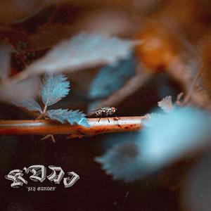 OMM (feat. Wizzy) (Explicit)