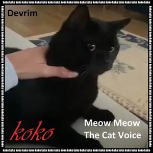 Meow Meow The  Cat Voice