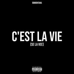 C'EST LA VIE (Explicit)