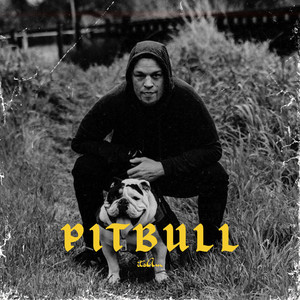 Aggressive Diss Track X Drill Type Beat "PITBULL"