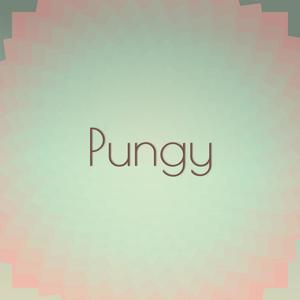 Pungy