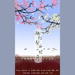 桃红梨白一处开