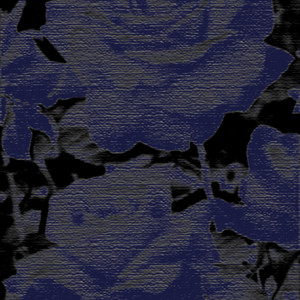 Roses On My, (Explicit)