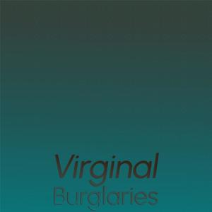 Virginal Burglaries