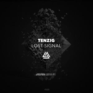 Lost Signal (Original Mix)