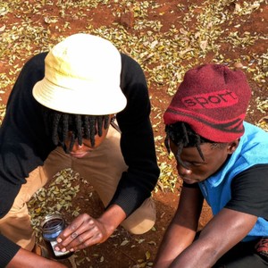 emaweni