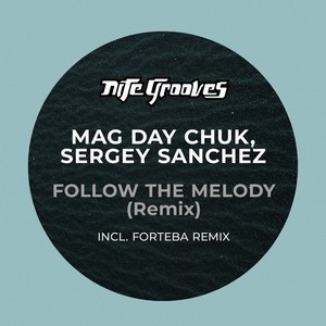 Follow The Melody (Remix)